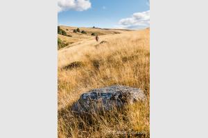 Randonne dans un paysage vallonn