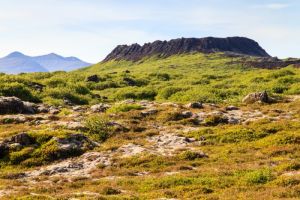 Le cratère du volcan Eldborg est bien visible
