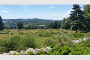 Vue sur les alentours verdoyants