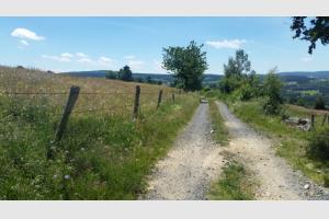 Le chemin