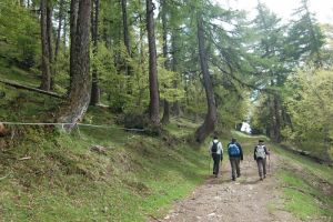 Promenons-nous dans la montagne