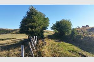 Le chemin grimpe un peu plus