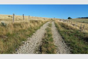 Entre deux paturages