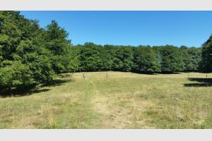 Personne  l'horizon...