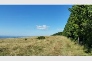 On longe la fort avec vue sur la valle