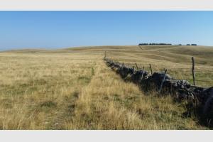 Le sentier  peine visible