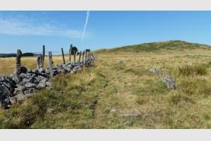 Entre les champs et les clotures