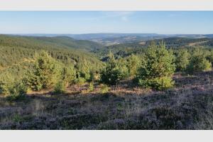 Sur la station de ski du Bleymard