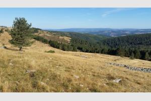 Vue sur la vall�e vers le Bleymard
