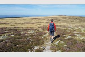 Sur le sentier venteux