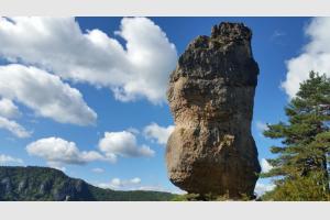 Le Vase de Svres
