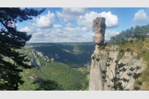 Vase de Svres sur le Causse Mjean
