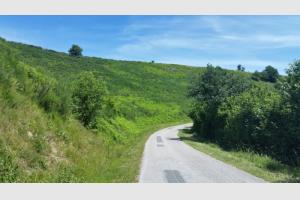 Un petit passage sur une route peu passante