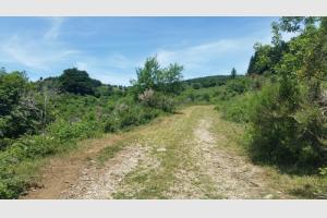 Un peu avant la ferme  traverser