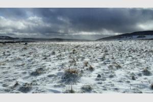 Bourrasques de neige sur l'Aubrac