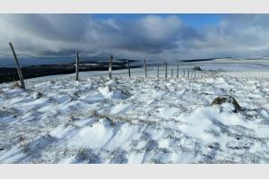 La neige est arrive sur l'Aubrac ce matin
