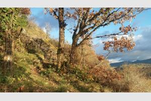 On monte encore