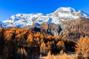 Belle vue sur le Mont Pourri et les mlzes