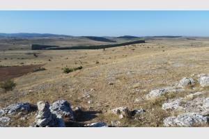 Sur le causse Mjean