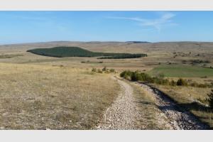 Le chemin  perte de vue