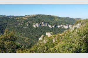 Dans les gorges verdoyantes