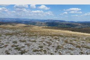 Au sommet du Mont Gargo
