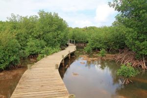 Une randonne trs peu frquente dans le marais de Port-Louis