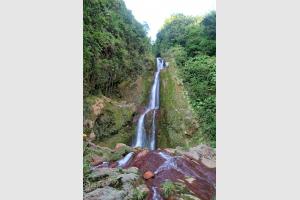 Dans le Parc National de la Guadeloupe