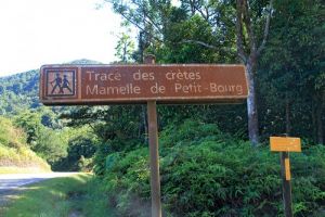 Randonnée à la Mamelle de Petit Bourg La trace des crètes c'est par ici