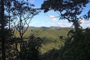 Randonnée à la Mamelle de Petit Bourg Une jolie vue se dégage à travers la forêt