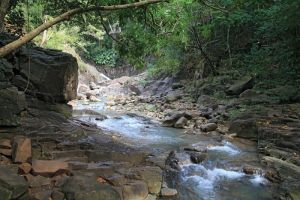 Il faut traverser le ruisseau pour atteindre l'autre rive