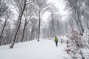 Progressions dans la neige le long de la piste