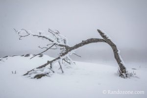 Conditions difficiles pour tout le monde