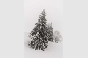 Habilles en neige