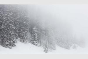 Brouillard givrant