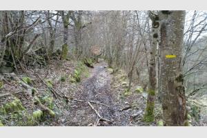 Nous sommes sur un chemin balis jaune