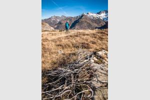 Un magnifique paysage de montagne
