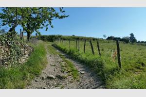 Sur le chemin qui monte 