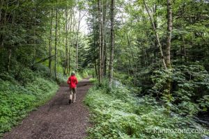Large chemin sur la randonne des sources de la Dordogne