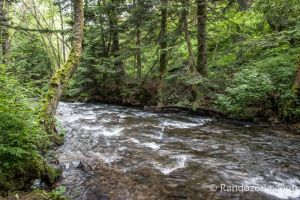 Cours d'eau des sources de la Dordogne