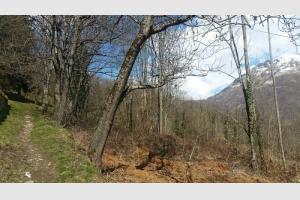 Sur le chemin qui longe la valle