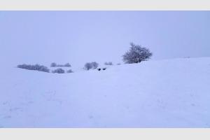 A ct de Saint Urcize, dans le Cantal