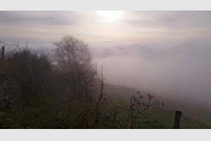 Le brouillard est glacial ce matin