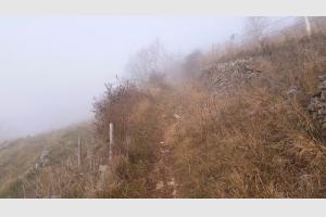Le sentier qui monte entre les murets