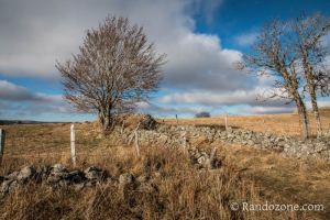 Sur le sentier du tour du lac des Salhiens