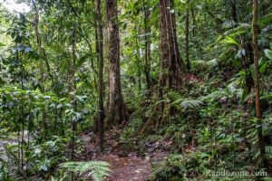 Le bassin d'eau chaude de la rivière Grosse Corde Nous marchons dans la jungle