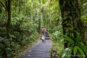 Un sentier un peu trop amnag pour de la randonne