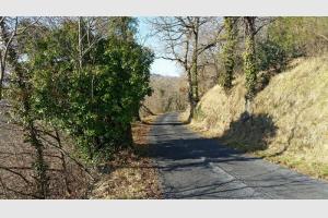 La seconde petite route emprunte