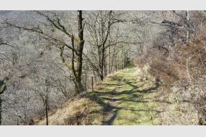 Sur le sentier qui longe le lac