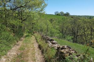 Sur le chemin qui longe le près Sur le chemin qui longe le près